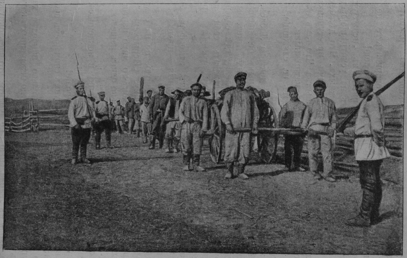 Obrázek #8 z 11