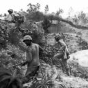 Bitva o Okinawu 1945 - Námorní pěchota postupující hustým porostem wikipedie