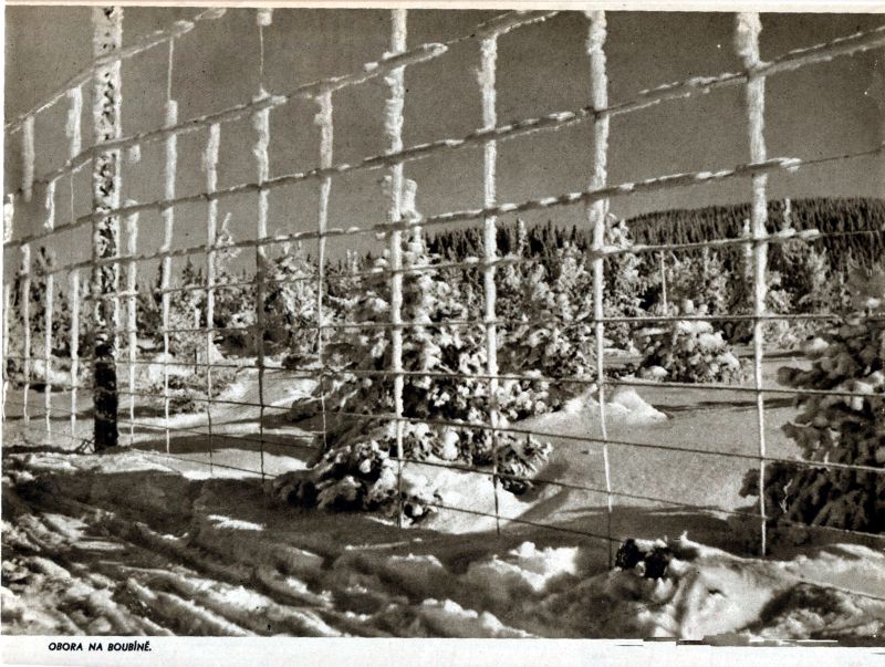 Obrázek #18 z 24