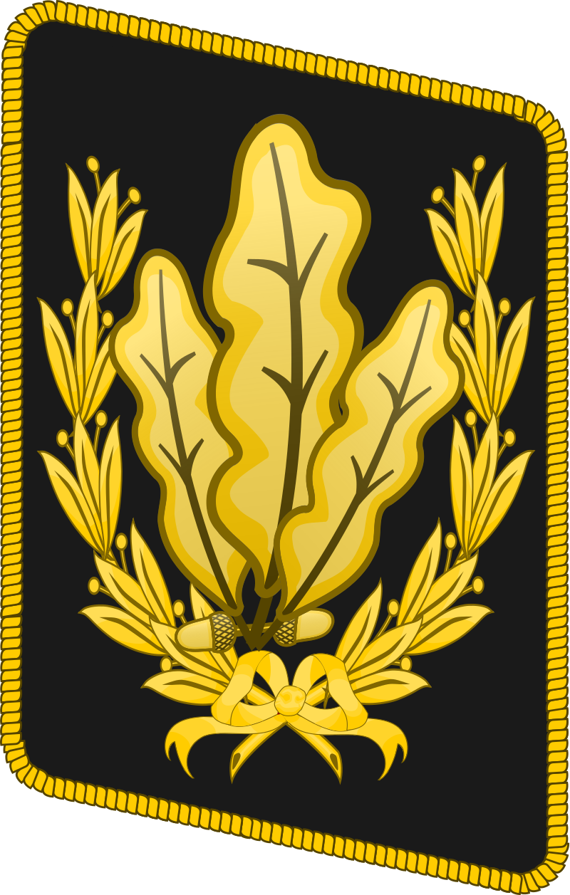 Obrázek #32 z 56