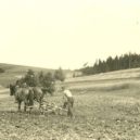 Juliánské oteplení - Oráč s koňmi – virvudolisvratky.cz