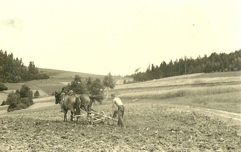 Obrázek #9 z 15