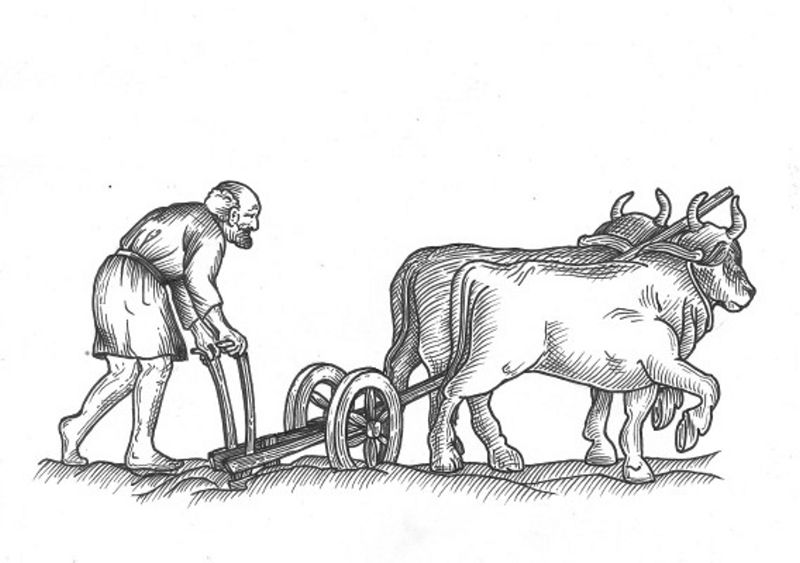 Obrázek #8 z 15