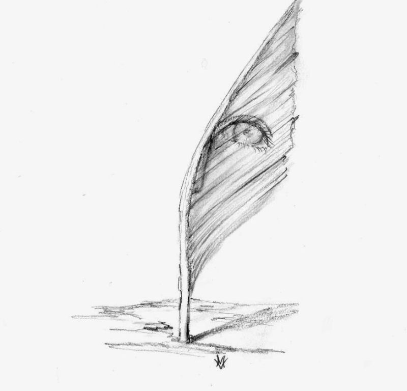 Obrázek #7 z 11