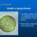 bakterie - Mezi takové organismy patřily tehdy hlavně řasy.