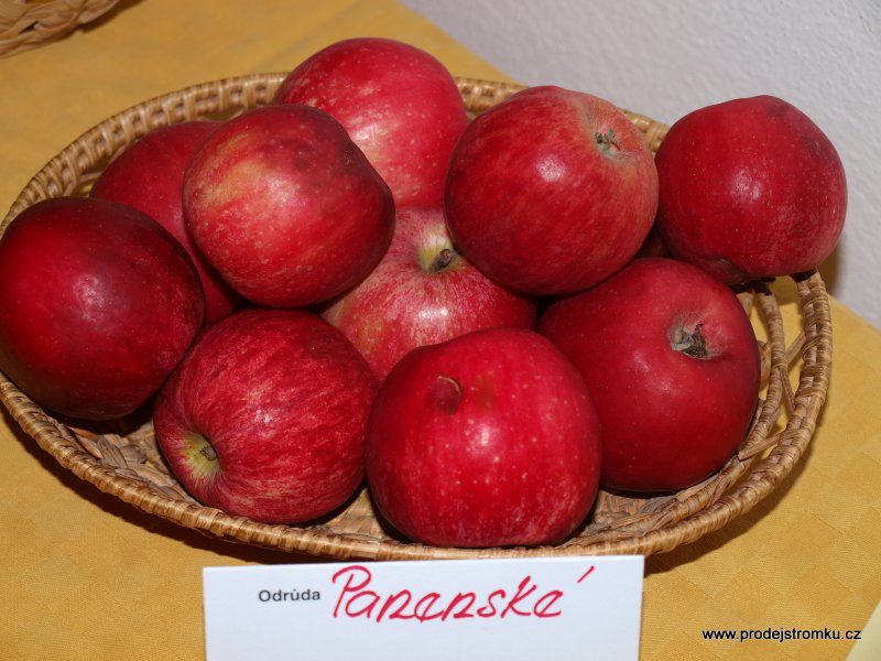 Obrázek #24 z 27