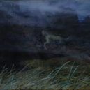Jaroslav Panuška - Panuška 5