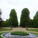 Zámek Pillnitz - Pillnitz park