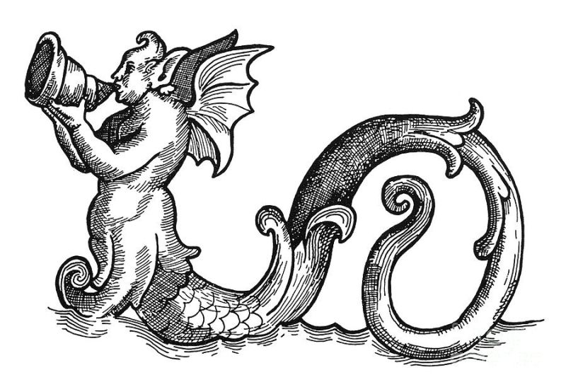 Obrázek #18 z 23