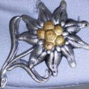 Eduard Dietl - Plechový výlisek alpské protěže s pozlaceným semeníkem; symbol horských myslivců; wikipedie