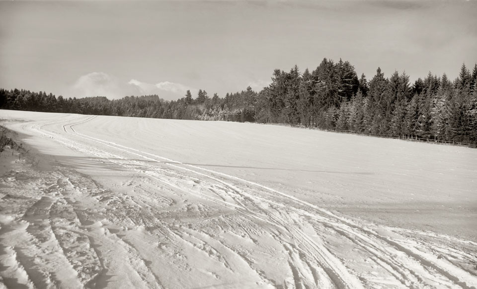 Obrázek #6 z 9