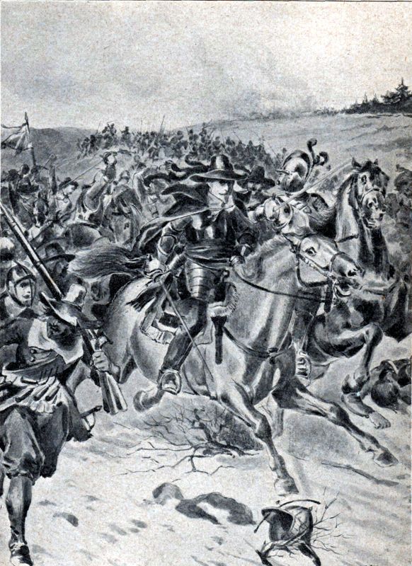 Obrázek #8 z 21