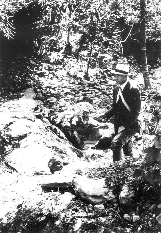 Obrázek #13 z 15