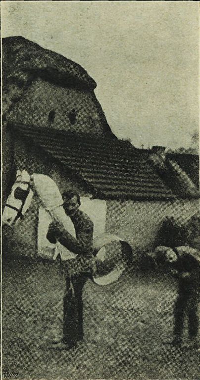 Obrázek #2 z 12