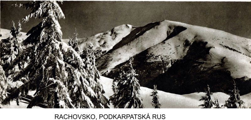 Obrázek #19 z 24