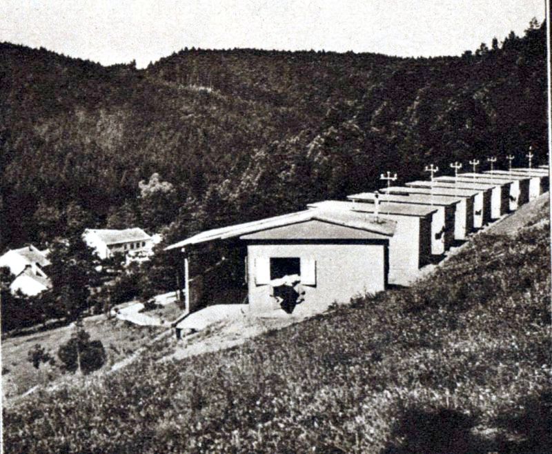 Obrázek #10 z 25