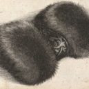 Václav Hollar - Rukávník s brokátem od Hollara – wikipedie