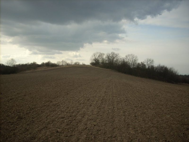 Obrázek #7 z 7