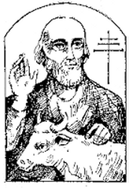 Obrázek #4 z 8