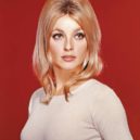 Sharon Tate - Sharon Tate – The Cut