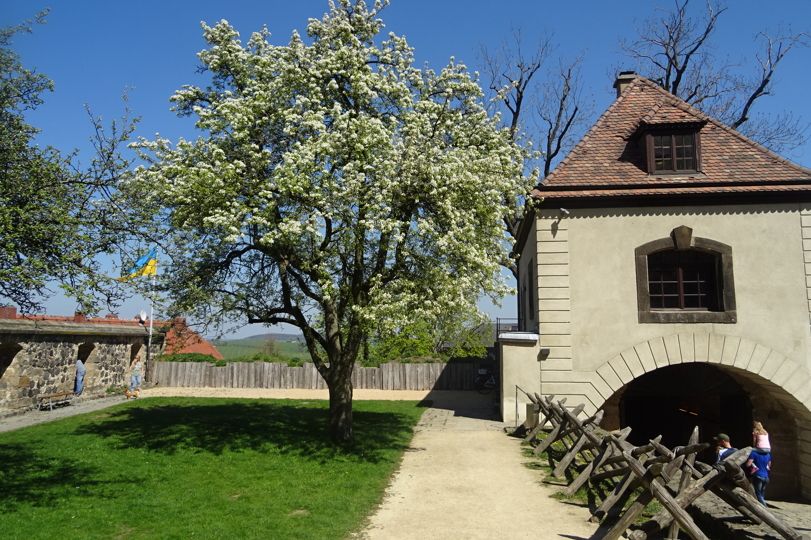 Obrázek #3 z 10