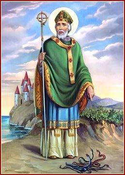 Obrázek #10 z 29