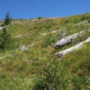 Mount St Helens - Svah hory roku 2005, 25 let po erupci – wikipedia