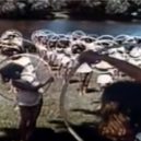 Baldur von Schirach a Hitlerjugend - Svaz německých dívek . youtube