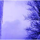 Valentýnská zima - Symbolic Meanings