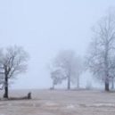 Ondřejsko-mikulášská obleva - WallHere