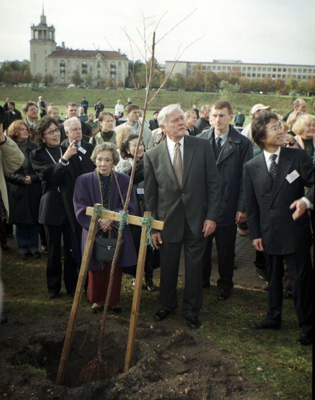 Obrázek #9 z 29