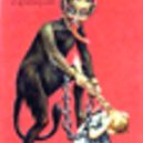 Pozdrav od krampuse - Zazzle 2.com