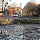 Rybníky ve Zdiměřicích – revitalizace - Zdiměřice rybník