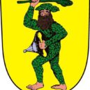 Bitva u Chotusic 1740 - Znak Chotusic – Ve zlatém štítě nakročený zelený divý muž držící v pravici nad hlavou zelenou dřevěnou palici a v levici před sebou železný kruhový štít s puklicí – kopie