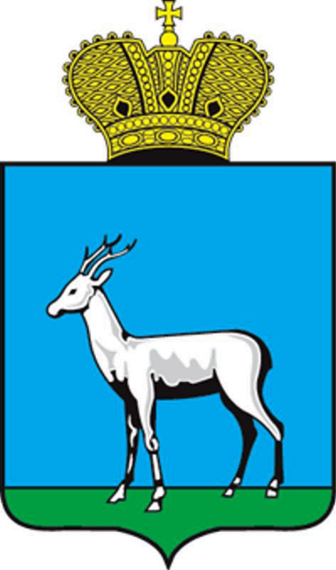 Obrázek #12 z 12