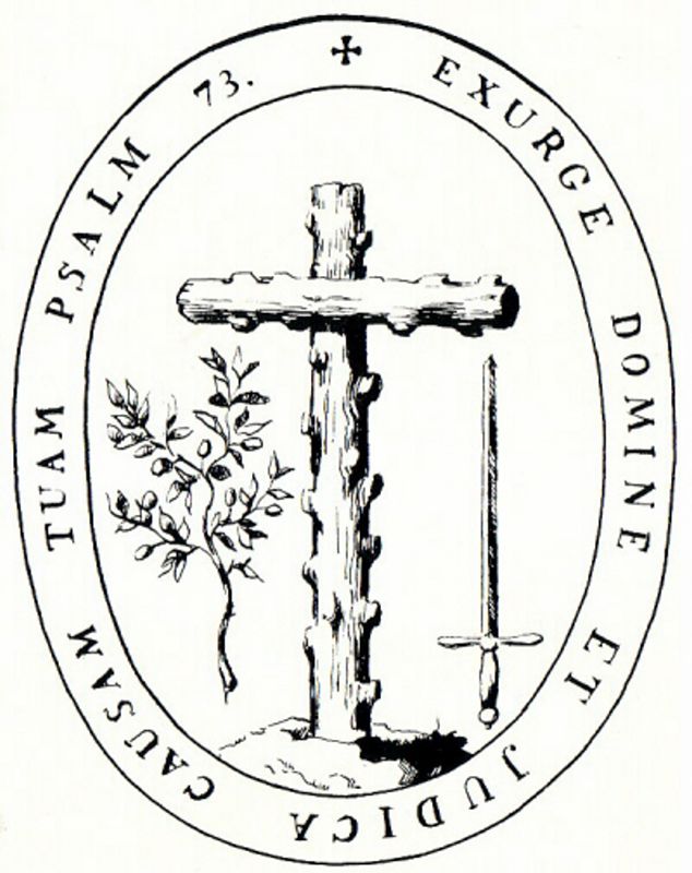 Obrázek #11 z 13