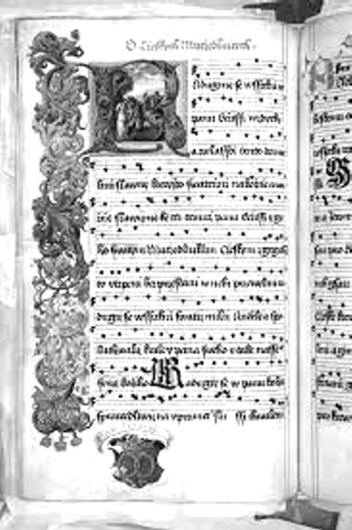 Obrázek #13 z 21