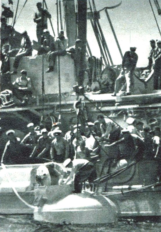 Obrázek #29 z 36
