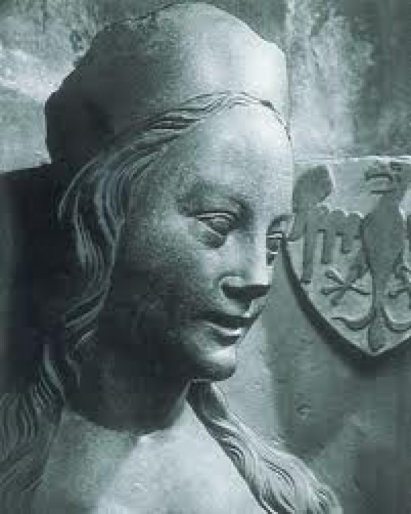 Obrázek #5 z 7