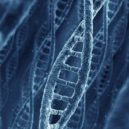 evoluce - DNA