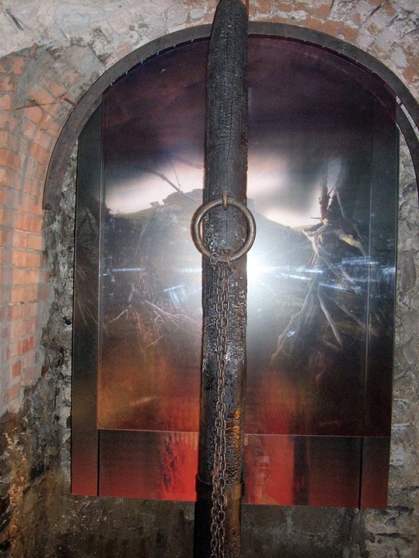 Obrázek #6 z 7