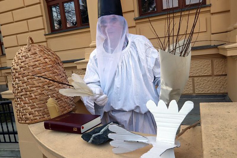 Obrázek #7 z 11