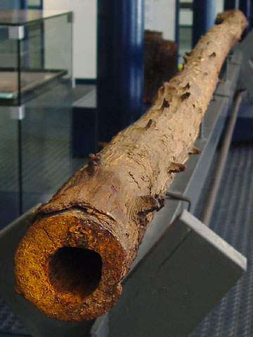 Obrázek #3 z 7