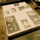 litografie - litografie 3