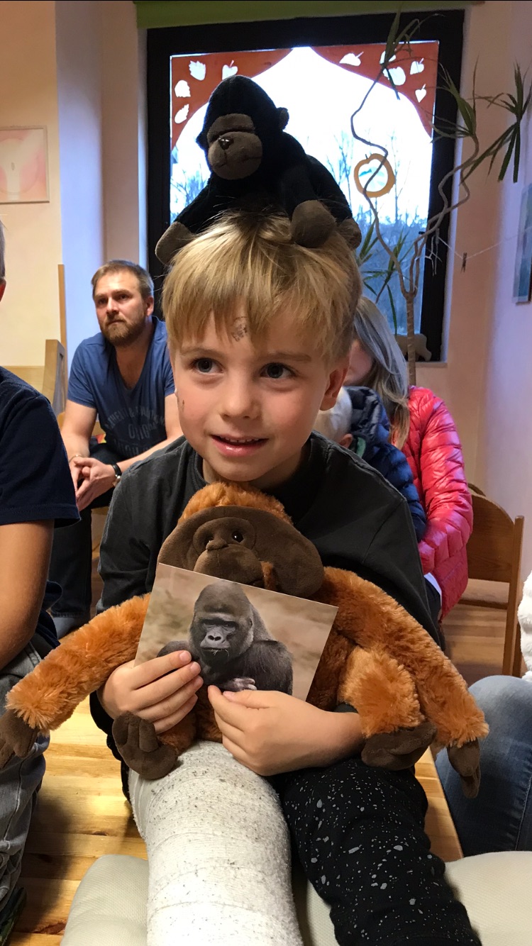 Obrázek #4 z 8