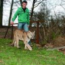 Pohladit si lva - iFAUNA
