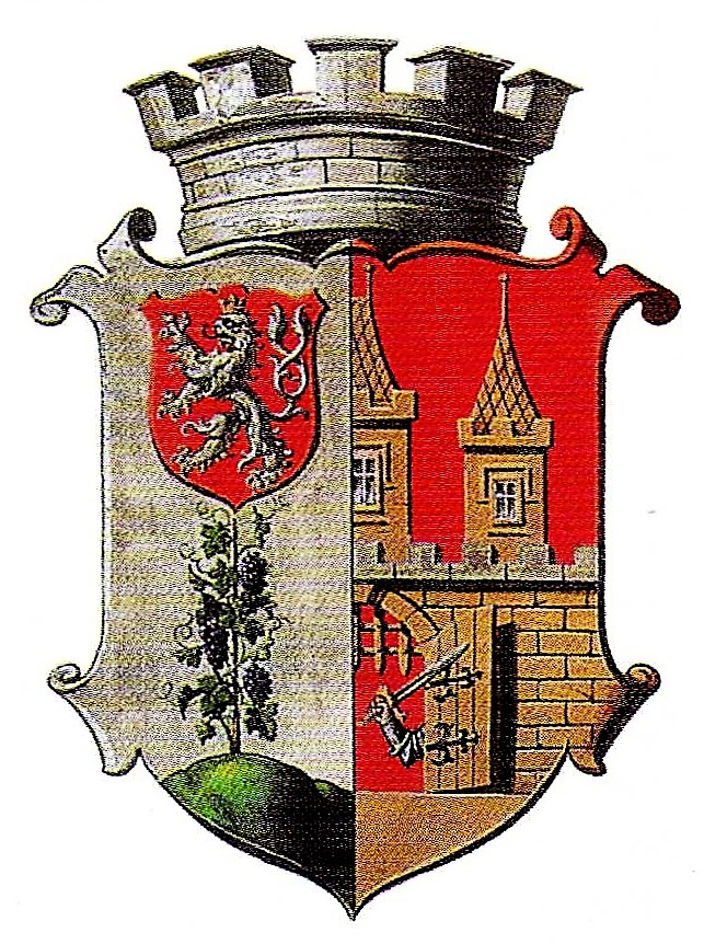 Obrázek #11 z 11