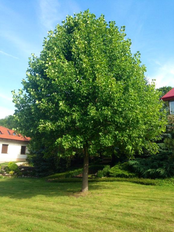 Obrázek #24 z 28