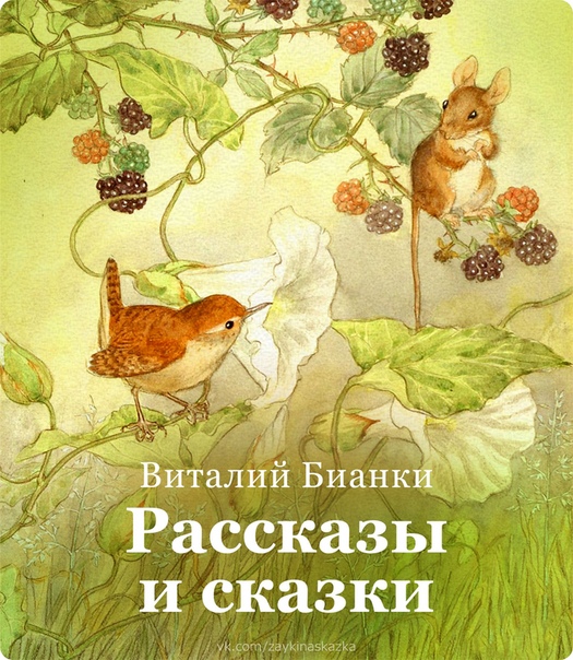 Obrázek #16 z 21