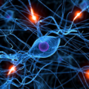 vakcinace-rizika - neuropatie
